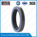 Spgw/Phd/Y3/L27/Cst Type Hydraulic Cylinder Piston Seal